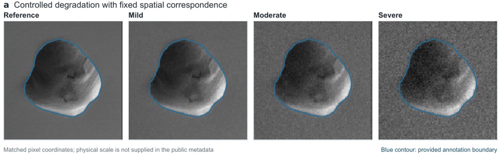 Sample figure from: SafeRestore: Detector-Relative Risk Certificates for Selective Industrial Image Restoration